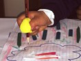 /album/fotogaleria-gomitas-para-lapiz/img-0210-jpg1/